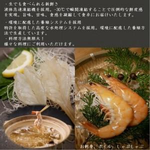 ふるさと納税 甲賀水晶えび 200g × 3パック 滋賀県甲賀市_1