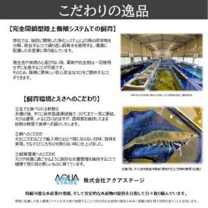 ふるさと納税 甲賀水晶えび 200g × 3パック 滋賀県甲賀市_3