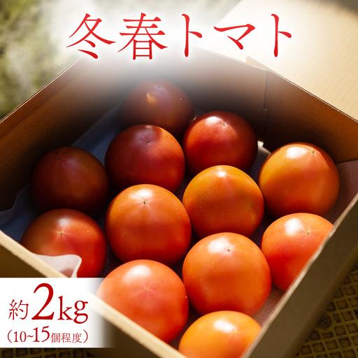 ふるさと納税 冬春トマト 完熟収穫 約2kg( 10〜15個 ) 西田農園 【2026