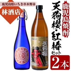 ふるさと納税 芋焼酎 「天狗櫻」 900ml 「紅椿」 720ml 各1本 25度 [A-1652H] 鹿児島県いちき串木野市