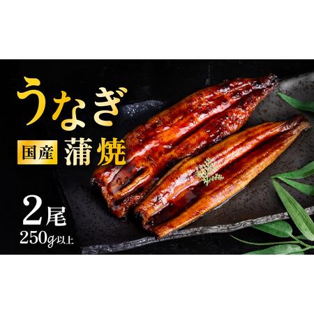 ふるさと納税 うなぎ 国産 蒲焼き 2尾 250g以上 上うなぎ 5月発送 茨城県下妻市