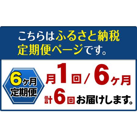 ふるさと納税 【6ヶ月定期便】ナノバブル水素水 アルミボトル(約300ml)×20本 株式会社ヒロシバ《30日以内に出荷予定(土日祝除く)》大阪府.. 大阪府羽曳野市の画像