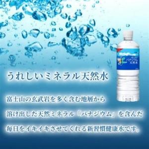 ふるさと納税 【毎月定期便】バナジウム天然水600ml【24本入】アサヒ飲料全3回 防災【4060649】 山梨県山梨市の画像