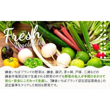 ふるさと納税 「鎌倉いちばブランド」新鮮お野菜詰め合わせセット  6〜8品 ｜ 人気 野菜 詰合せ 詰め合わせ セット 新鮮野菜 詰め合わせセット.. 神奈川県鎌倉市_1