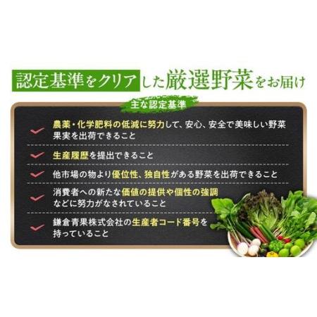 ふるさと納税 「鎌倉いちばブランド」新鮮お野菜詰め合わせセット  6〜8品 ｜ 人気 野菜 詰合せ 詰め合わせ セット 新鮮野菜 詰め合わせセット.. 神奈川県鎌倉市_2