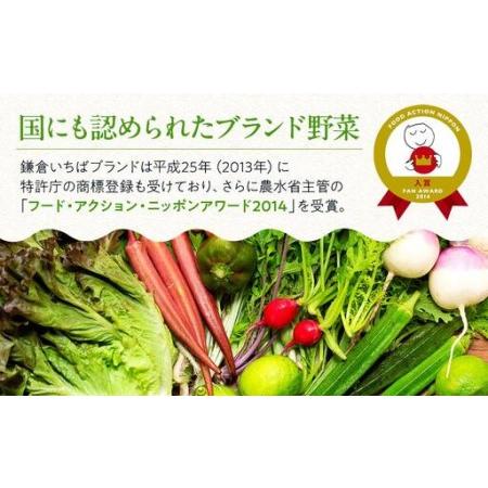 ふるさと納税 「鎌倉いちばブランド」新鮮お野菜詰め合わせセット  6〜8品 ｜ 人気 野菜 詰合せ 詰め合わせ セット 新鮮野菜 詰め合わせセット.. 神奈川県鎌倉市_3