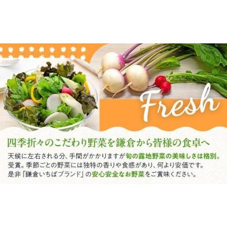 ふるさと納税 「鎌倉いちばブランド」新鮮お野菜詰め合わせセット  6〜8品 ｜ 人気 野菜 詰合せ 詰め合わせ セット 新鮮野菜 詰め合わせセット.. 神奈川県鎌倉市_4