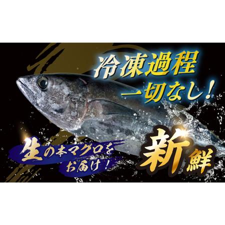 ふるさと納税 冷蔵！生本マグロ 赤身 中トロ 大トロ 計約800g マグロ まぐろ 鮪 刺身 五島列島産養殖 [RBN017] 本マグロ 本まぐろ 本マグロ .. 長崎県新上五島町の画像