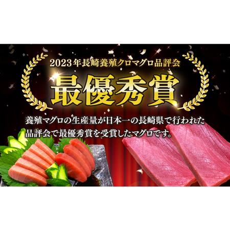 ふるさと納税 冷蔵！生本マグロ 赤身 中トロ 大トロ 計約800g マグロ まぐろ 鮪 刺身 五島列島産養殖 [RBN017] 本マグロ 本まぐろ 本マグロ .. 長崎県新上五島町の画像