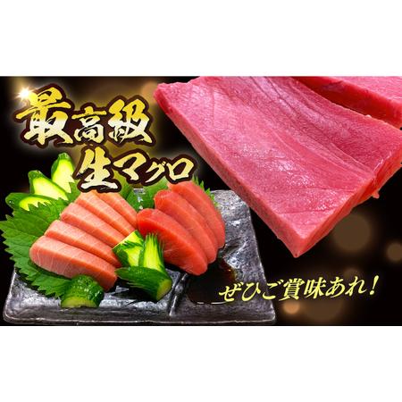 ふるさと納税 冷蔵！生本マグロ 赤身 中トロ 大トロ 計約800g マグロ まぐろ 鮪 刺身 五島列島産養殖 [RBN017] 本マグロ 本まぐろ 本マグロ .. 長崎県新上五島町の画像