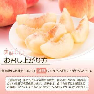 ふるさと納税 岡山市産 白桃 ご家庭用 約1.5kg 5~6玉 ＜2026年7月上旬〜8月下旬頃出荷＞ 岡山県岡山市の画像