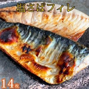 新規購入 ふるさと納税 塩さばフィレ14枚入 魚鶴商店 和歌山県美浜町 信頼 Cloud Mydl Fr