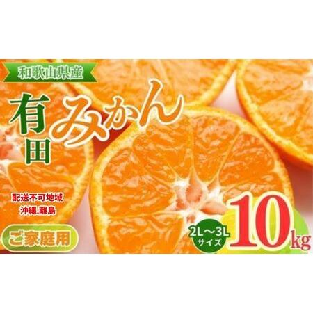 ふるさと納税 [先行予約][ご家庭用]和歌山有田みかん約10kg(2L、3Lサイズ)〇 | みかん 和歌山県美浜町