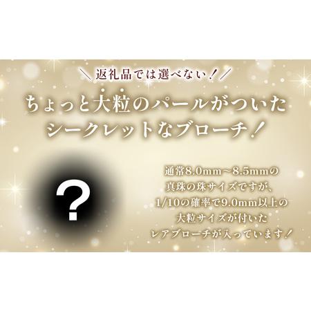 保証書付＜明浜産 福引きパール（40,000円寄附）＞ 純国産 高品質 アコヤ真珠 宇和海 パール アクセサリー ブローチ 組紐 眼鏡チェ.. 【伝】 愛媛県西予市