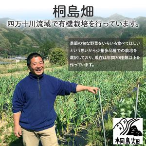ふるさと納税 【栽培期間中、農薬・化学肥料不使用】桐島畑の季節野菜詰め合わせ(7種類) Fkh-10 ／ やさい 国産野菜 四万十 高知 季節 フレッ.. 高知県四万十町の画像