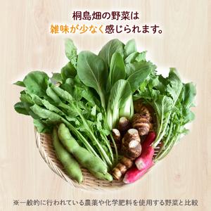 ふるさと納税 【栽培期間中、農薬・化学肥料不使用】桐島畑の季節野菜詰め合わせ(7種類) Fkh-10 ／ やさい 国産野菜 四万十 高知 季節 フレッ.. 高知県四万十町の画像