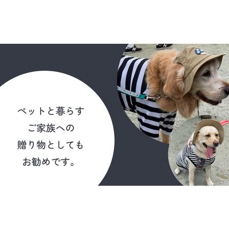 ふるさと納税 きのこ アウトドアハット　ベージュXL 犬 ペット グッズ 撥水 帽子 キャップ 男の子 女の子 かわいい 宮城県石巻市_2