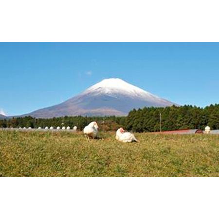 ふるさと納税 【太陽チキンスモーク】満足セット【肉　とり肉】◆ 静岡県御殿場市｜furunavi｜04