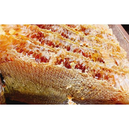 ふるさと納税 日本蜜蜂の純粋はちみつ巣蜜入り（200g） 千葉県