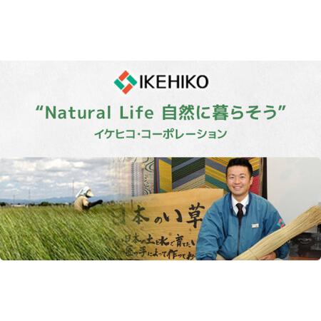 ふるさと納税 02-AS-0106・ウィルトンカーペット イビサ 160ｃｍ円形（レッド）AA426 福岡県大木町の画像