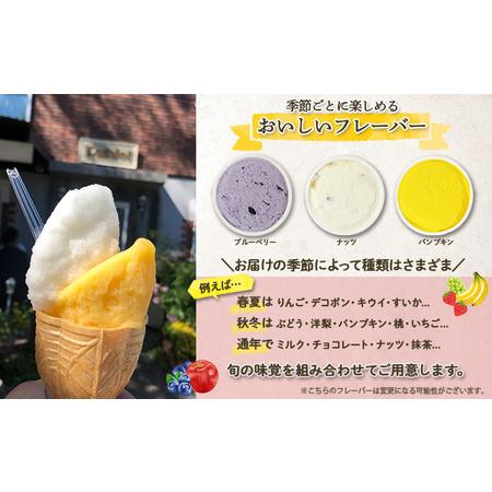 ふるさと納税 北海道 Ruhiel 完熟フルーツジェラート 120ml 16個セット アイス 詰め合わせフルーツ 果物 牛乳 自家製 スイーツ ジェラート パ.. 北海道倶知安町の画像