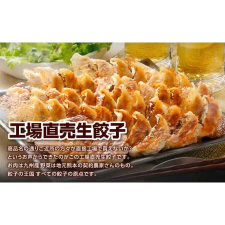 ふるさと納税 餃子の王国 人気の生餃子 2種 63個 黒豚 生餃子 餃子 ぎょうざ 豚肉 冷凍 国産 熊本 セット 熊本県熊本市_1