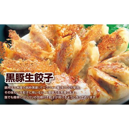ふるさと納税 餃子の王国 人気の生餃子 2種 63個 黒豚 生餃子 餃子 ぎょうざ 豚肉 冷凍 国産 熊本 セット 熊本県熊本市_2