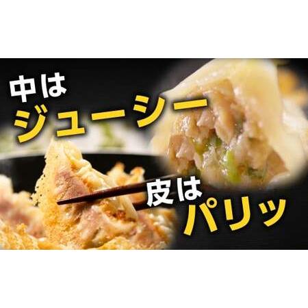 ふるさと納税 餃子の王国 人気の生餃子 2種 63個 黒豚 生餃子 餃子 ぎょうざ 豚肉 冷凍 国産 熊本 セット 熊本県熊本市_3
