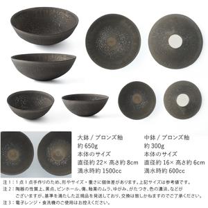 ふるさと納税 【美濃焼】 五十嵐務 鉢 ブロンズ釉 2サイズ各2枚セット 瑞浪市 / JS企画 鉢 セット 陶芸作品 取鉢 ボウル 皿 [AZAZ207] 岐阜県瑞浪市の画像