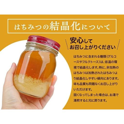 ふるさと納税 山形県遊佐町産 純粋はちみつ 430g 百花蜂蜜 生はちみつ