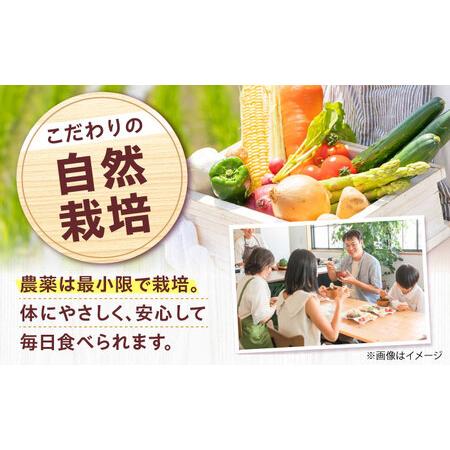 ふるさと納税 高槻野菜詰め合わせ 3月（10?15種）＆はちみつ セット[AOCS022]野菜セット 大阪府高槻市_1