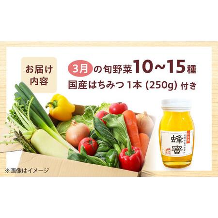 ふるさと納税 高槻野菜詰め合わせ 3月（10?15種）＆はちみつ セット[AOCS022]野菜セット 大阪府高槻市_2
