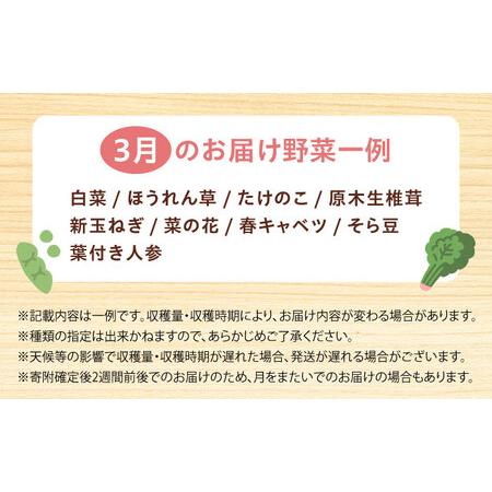 ふるさと納税 高槻野菜詰め合わせ 3月（10?15種）＆はちみつ セット[AOCS022]野菜セット 大阪府高槻市_3