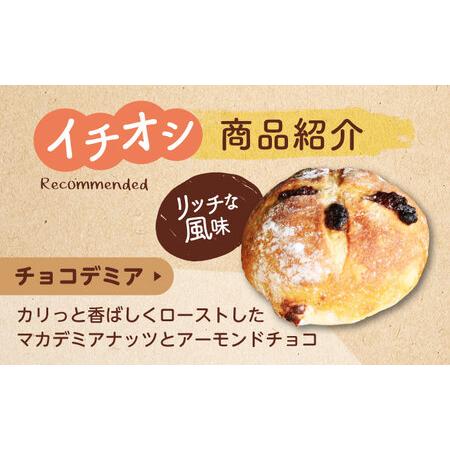 ふるさと納税 【3回定期便】 ハード系パン お楽しみバラエティーセット 10?13点 【パンの店 カッタン】 パン 食パン 大人気[MEJ014] 岐阜県土岐市_2