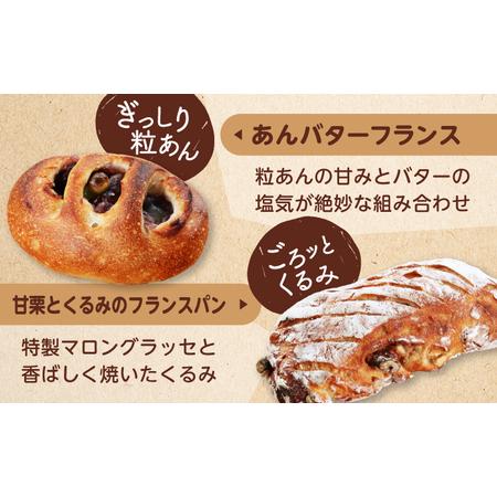 ふるさと納税 【3回定期便】 ハード系パン お楽しみバラエティーセット 10?13点 【パンの店 カッタン】 パン 食パン 大人気[MEJ014] 岐阜県土岐市_3