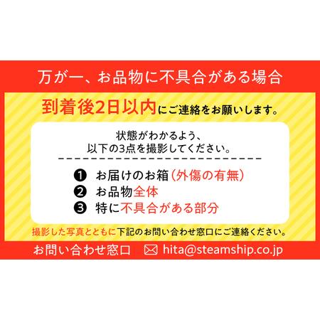 ふるさと納税 【全5回定期便】サッポロビール GOLD STAR 500ml×24缶 合計120缶  /ビール 発泡酒 ゴールドスター お酒 大分 日田/[ARDC124] 大分県日田市の画像