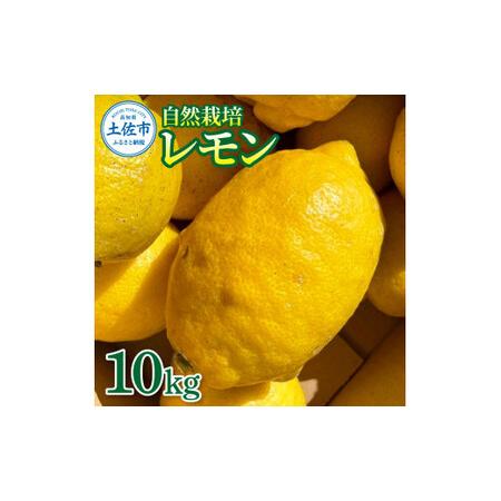 ふるさと納税 自然栽培レモン 約10kg 高知県土佐市 [有限会社四万十くじら] [BQBR006] 高知県土佐市
