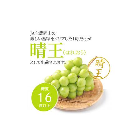 ふるさと納税 ぶどう シャインマスカット晴王 約2kg 2〜5房程度 橋田商店有限会社 先行予約《2026年9月中旬-11月中旬頃出荷》 岡山県 浅口市 岡.. 岡山県浅口市の画像