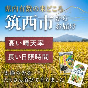 ふるさと納税 【 定期便 3ヶ月 】 茨城県 筑西市産 にじのきらめき 10kg ( 障がい者アート パッケージ ) ( 5kg × 2袋 ) 令和7年産 新米 精.. 茨城県筑西市の画像
