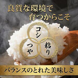 ふるさと納税 【 定期便 3ヶ月 】 茨城県 筑西市産 にじのきらめき 10kg ( 障がい者アート パッケージ ) ( 5kg × 2袋 ) 令和7年産 新米 精.. 茨城県筑西市の画像