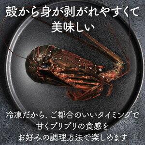 ふるさと納税 【 先行予約 2026年度発送】 冷凍伊勢海老 6尾 約2kg 刺身用 千葉県旭市の画像