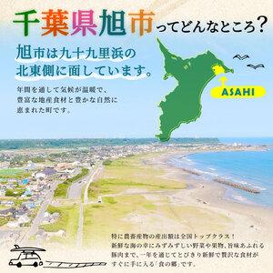 ふるさと納税 【 先行予約 2026年度発送】 冷凍伊勢海老 6尾 約2kg 刺身用 千葉県旭市の画像