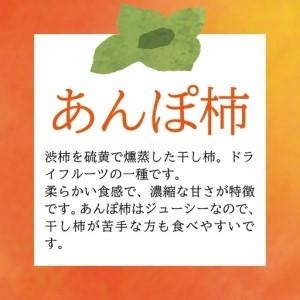 ふるさと納税 庄内あんぽ柿「遊味」 1箱 3個入×4袋 山形県遊佐町産 庄内柿 2026年12月上旬〜2027年1月下旬頃にお届け 冷蔵便 ※離島発送不.. 山形県遊佐町_1