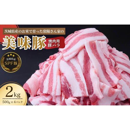 ふるさと納税 豚肉 SPF豚バラ肉 2kg | 豚肉 豚肉 豚肉 豚肉 豚肉 豚肉 茨城県龍ケ崎市