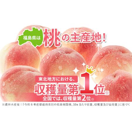ふるさと納税 【2026年出荷分先行予約】福島県産 なつっこ 約2kg (5〜9玉) 遠藤果樹園 贈り物 贈答 ギフト 伊達の桃 桃 フルーツ 果物 もも モモ.. 福島県伊達市の画像