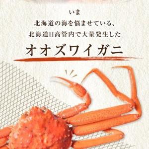 ふるさと納税 「訳あり」オオズワイガニボイル 2尾 合計約900g カニ カニ 北海道様似町_1