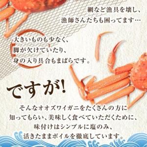 ふるさと納税 「訳あり」オオズワイガニボイル 2尾 合計約900g カニ カニ 北海道様似町_2