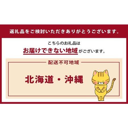 ふるさと納税 猫の爪とぎ 四角い土管（カラー：ヒョウ柄） 猫 ねこ ネコ キャット cat 爪とぎ ダンボール 段ボール ゆったり 土管 丈夫 日本製 .. 愛知県常滑市の画像
