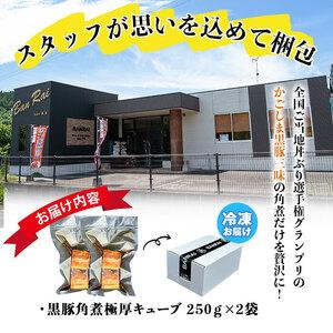 ふるさと納税 黒豚角煮極厚キューブ 計500g(250g×2袋) 黒豚 肉 豚肉 国産 九州産 角煮 おつまみ 惣菜 おかず a0-365 鹿児島県志布志市の画像