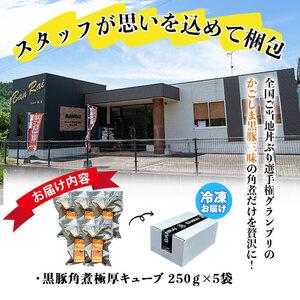ふるさと納税 黒豚角煮極厚キューブ 計1.25kg(250g×5袋) 黒豚 肉 豚肉 国産 九州産 角煮 おつまみ 惣菜 おかず a5-314 鹿児島県志布志市の画像